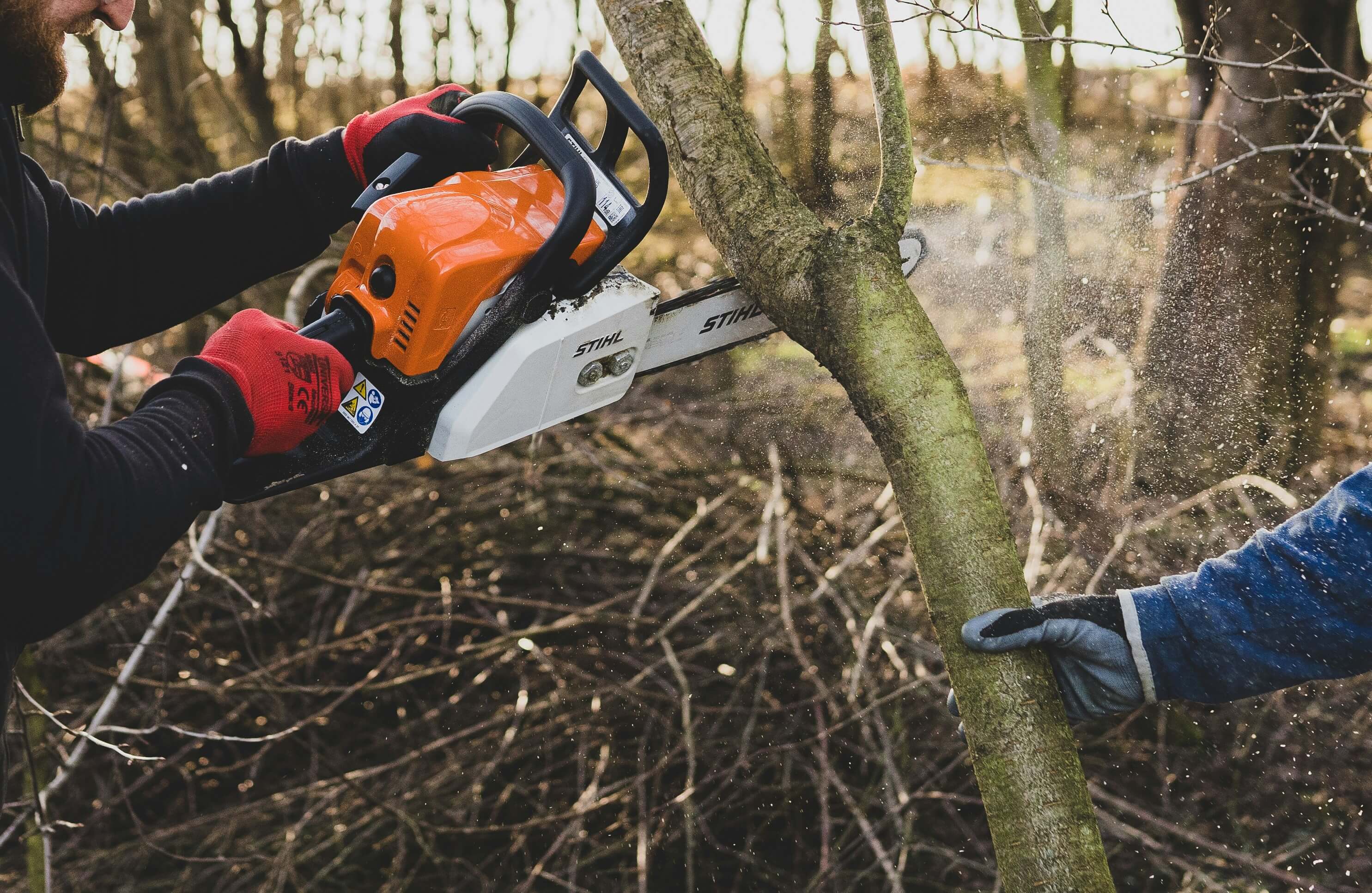 Tree trimming service